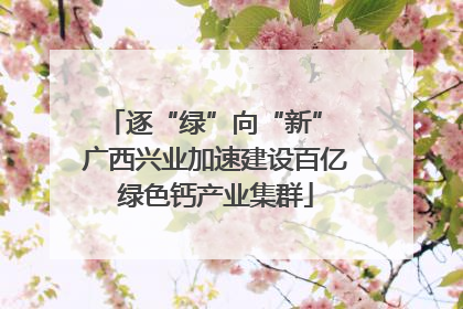 逐“绿”向“新” 广西兴业加速建设百亿绿色钙产业集群