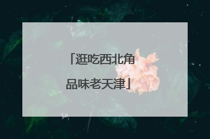 逛吃西北角 品味老天津