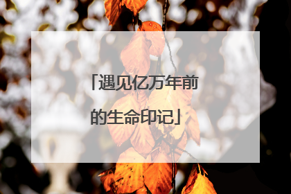 遇见亿万年前的生命印记