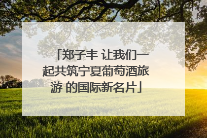 郑子丰 让我们一起共筑宁夏葡萄酒旅游 的国际新名片