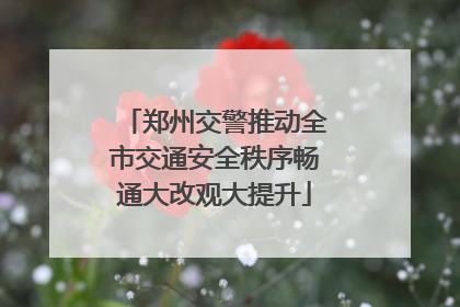 郑州交警推动全市交通安全秩序畅通大改观大提升