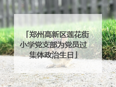 郑州高新区莲花街小学党支部为党员过集体政治生日