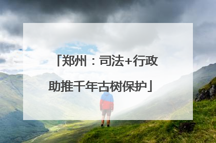 郑州：司法+行政助推千年古树保护