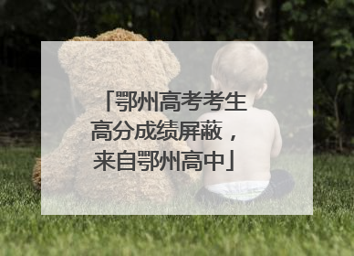 鄂州高考考生高分成绩屏蔽，来自鄂州高中