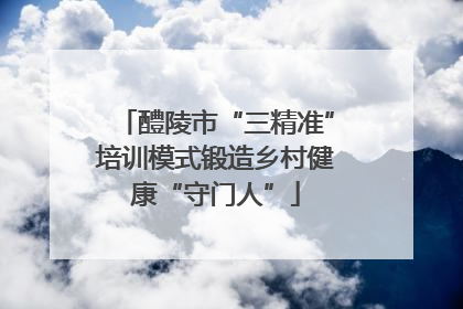 醴陵市“三精准”培训模式锻造乡村健康“守门人”