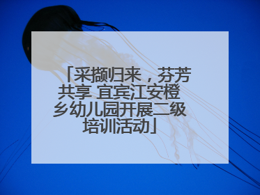 采撷归来，芬芳共享 宜宾江安橙乡幼儿园开展二级培训活动