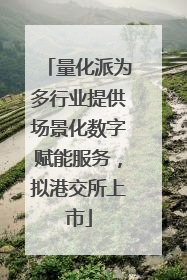 量化派为多行业提供场景化数字赋能服务，拟港交所上市