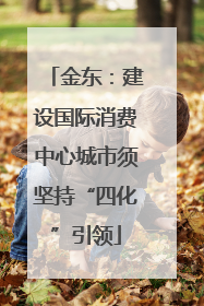 金东：建设国际消费中心城市须坚持“四化”引领