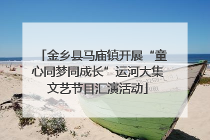 金乡县马庙镇开展“童心同梦同成长”运河大集文艺节目汇演活动