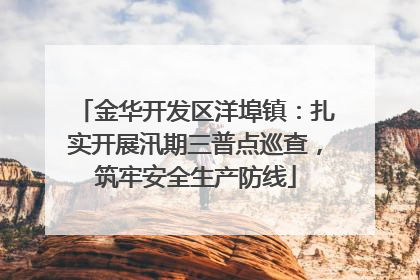 金华开发区洋埠镇：扎实开展汛期三普点巡查，筑牢安全生产防线