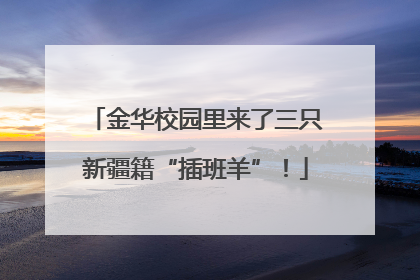 金华校园里来了三只新疆籍“插班羊”！
