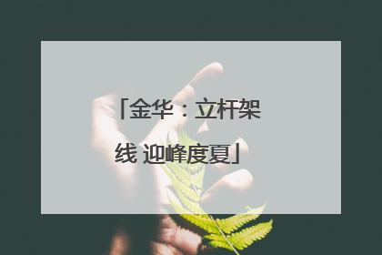 金华：立杆架线 迎峰度夏
