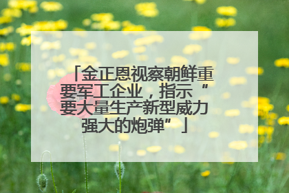 金正恩视察朝鲜重要军工企业，指示“要大量生产新型威力强大的炮弹”