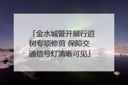 金水城管开展行道树专项修剪 保障交通信号灯清晰可见