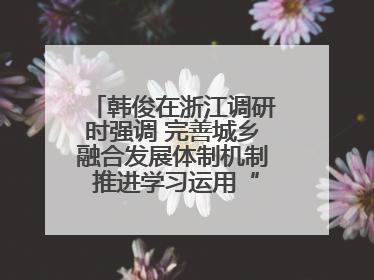 韩俊在浙江调研时强调 完善城乡融合发展体制机制 推进学习运用“千万工程”经验走深走实