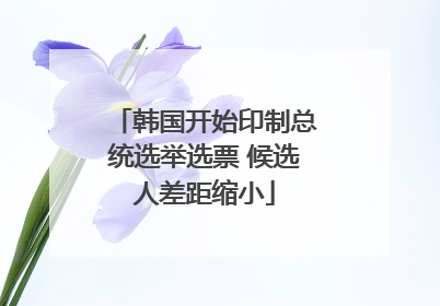 韩国开始印制总统选举选票 候选人差距缩小