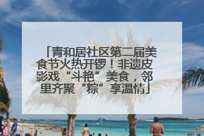 青和居社区第二届美食节火热开锣！非遗皮影戏“斗艳”美食，邻里齐聚“粽”享温情