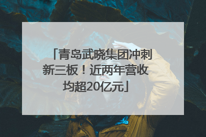 青岛武晓集团冲刺新三板！近两年营收均超20亿元