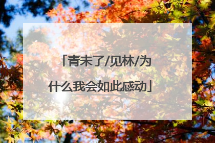 青未了/见林/为什么我会如此感动