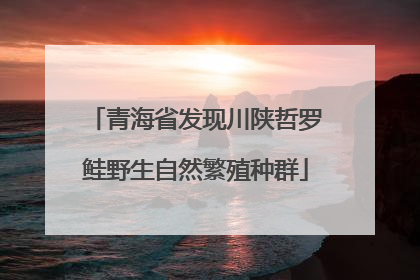 青海省发现川陕哲罗鲑野生自然繁殖种群