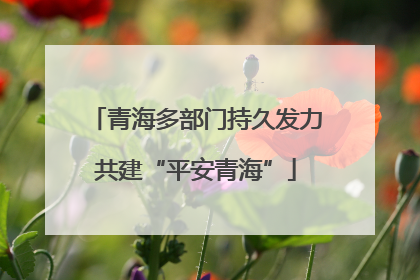 青海多部门持久发力共建“平安青海”