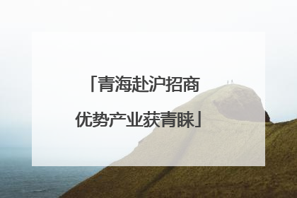 青海赴沪招商 优势产业获青睐