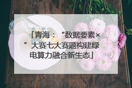 青海：“数据要素×”大赛七大赛题构建绿电算力融合新生态