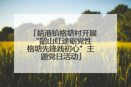 靖港镇格塘村开展“韶山红途砺党性 格塘先锋践初心”主题党日活动