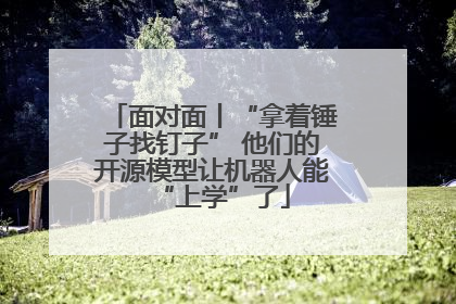 面对面丨“拿着锤子找钉子” 他们的开源模型让机器人能“上学”了