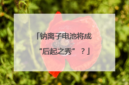 钠离子电池将成“后起之秀”？