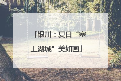 银川：夏日“塞上湖城”美如画