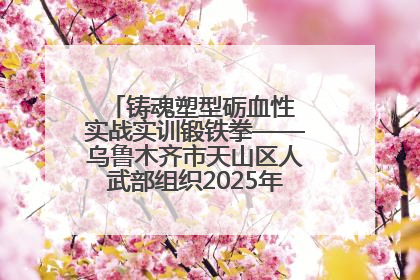 铸魂塑型砺血性 实战实训锻铁拳——乌鲁木齐市天山区人武部组织2025年度民兵集中轮训