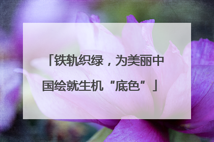 铁轨织绿，为美丽中国绘就生机“底色”