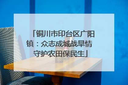 铜川市印台区广阳镇：众志成城战旱情 守护农田保民生