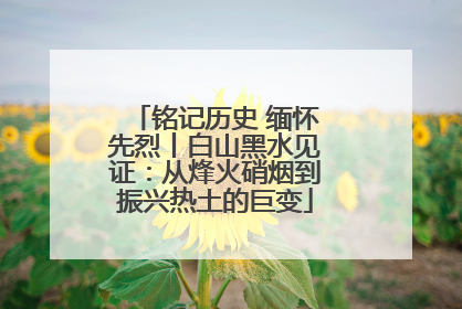 铭记历史 缅怀先烈丨白山黑水见证：从烽火硝烟到振兴热土的巨变