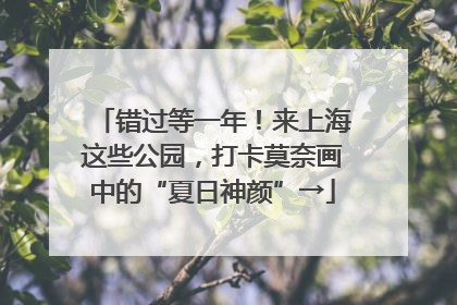 错过等一年！来上海这些公园，打卡莫奈画中的“夏日神颜”→