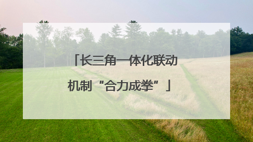 长三角一体化联动机制“合力成拳”