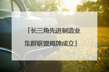 长三角先进制造业集群联盟揭牌成立