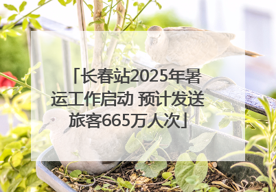 长春站2025年暑运工作启动 预计发送旅客665万人次