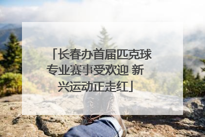 长春办首届匹克球专业赛事受欢迎 新兴运动正走红