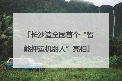 长沙造全国首个“智能押运机器人”亮相
