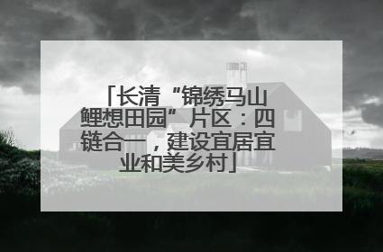 长清“锦绣马山 鲤想田园”片区：四链合一，建设宜居宜业和美乡村
