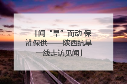 闻“旱”而动 保灌保供——陕西抗旱一线走访见闻