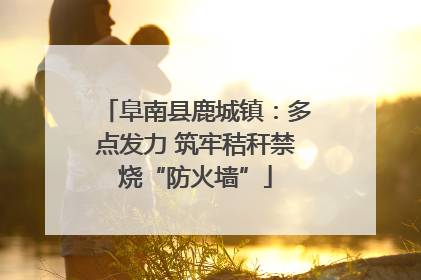 阜南县鹿城镇：多点发力 筑牢秸秆禁烧“防火墙”
