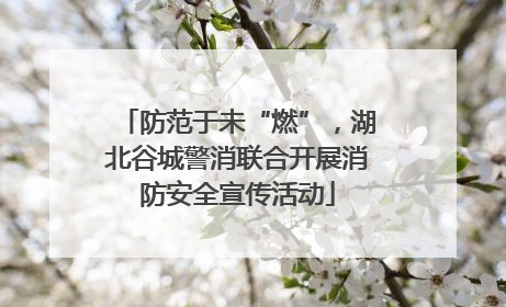 防范于未“燃”，湖北谷城警消联合开展消防安全宣传活动