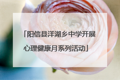 阳信县洋湖乡中学开展心理健康月系列活动