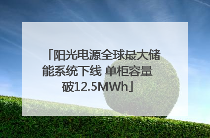阳光电源全球最大储能系统下线 单柜容量破12.5MWh