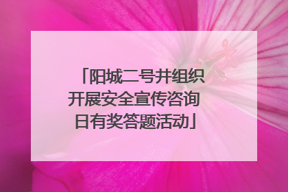 阳城二号井组织开展安全宣传咨询日有奖答题活动