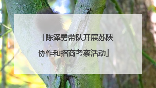 陈泽勇带队开展苏陕协作和招商考察活动