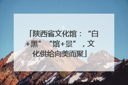 陕西省文化馆：“白+黑”“馆+景”，文化供给向美而聚